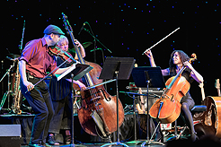 TRIPLE DOOR - THE BIG GIG